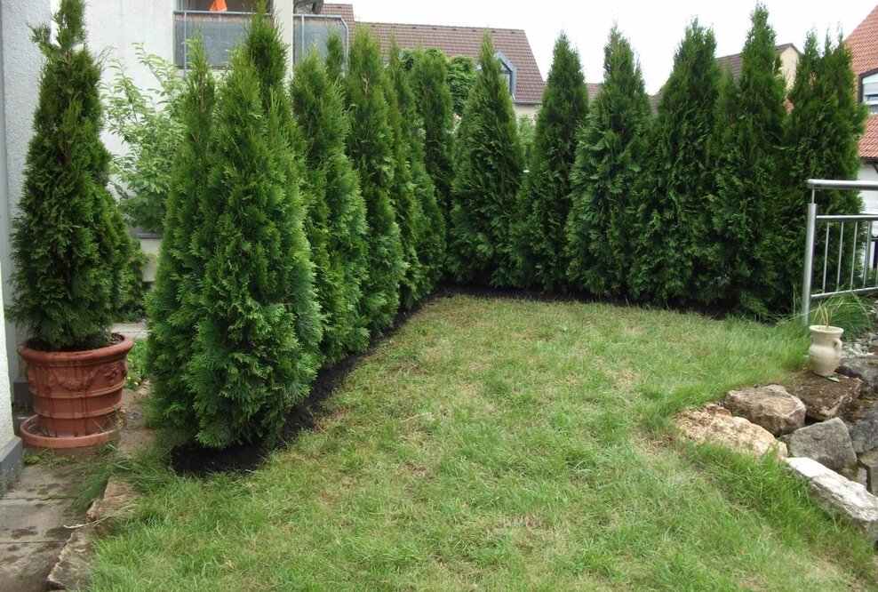 Vorteile professioneller Gartenbau Leistungen überzeugen