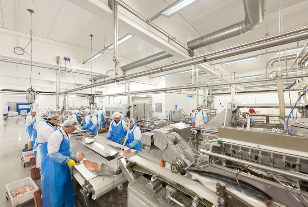 Glamox erhält IFS-Zertifizierung