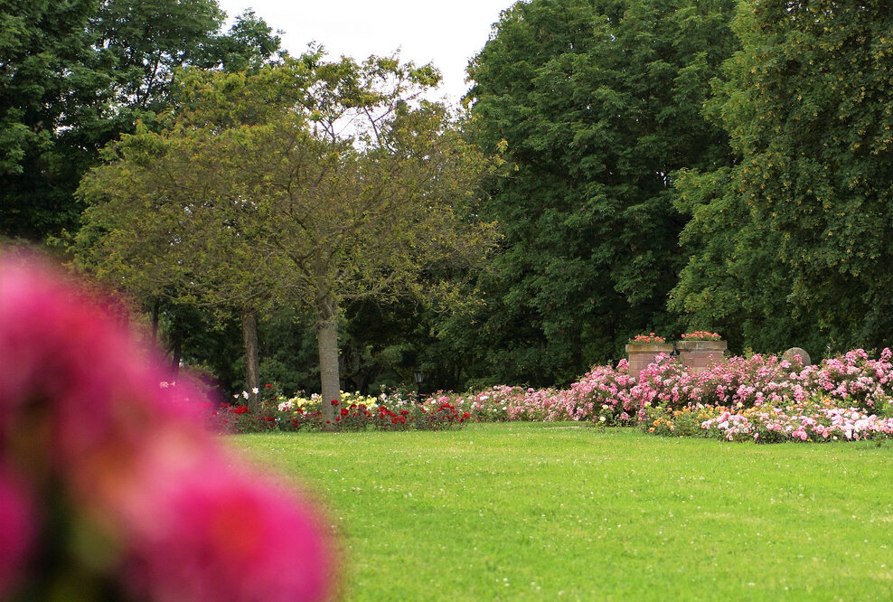 Gräber werden teurer - Grabrechner stellt Transparenz her und ermöglicht erstmals Grabkauf im Internet