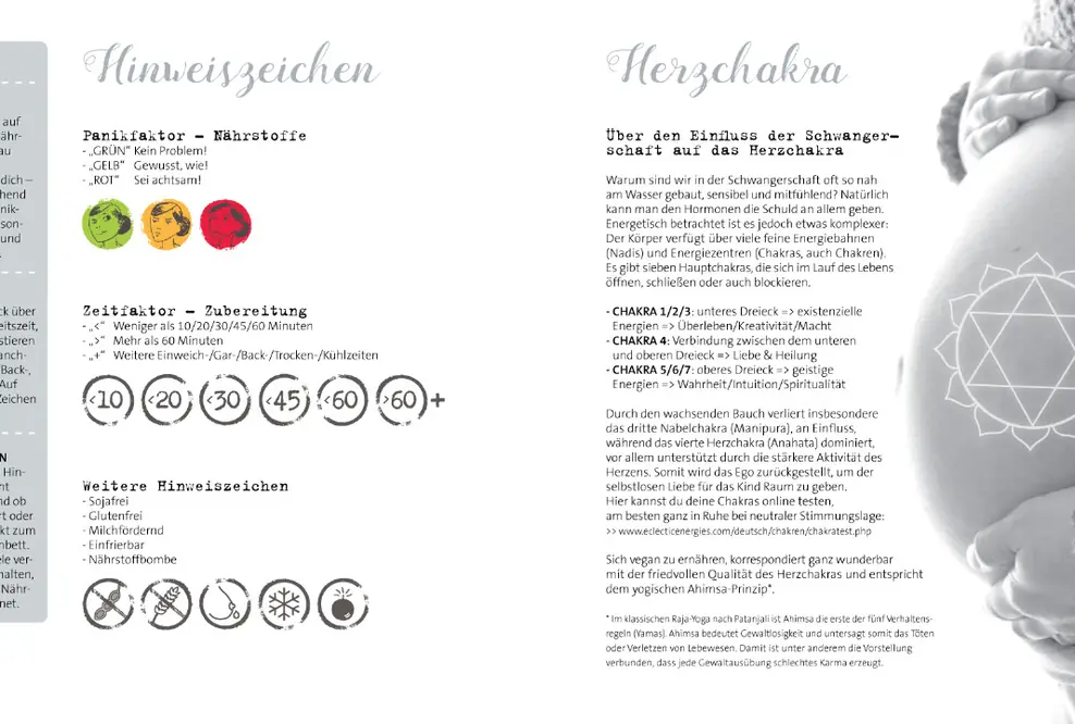 Das Licht der Buchmarkts erblickt: Vegan in anderen Umständen. Ratgeber &amp; Kochbuch zur veganen Schwangerschaft und Stillzeit