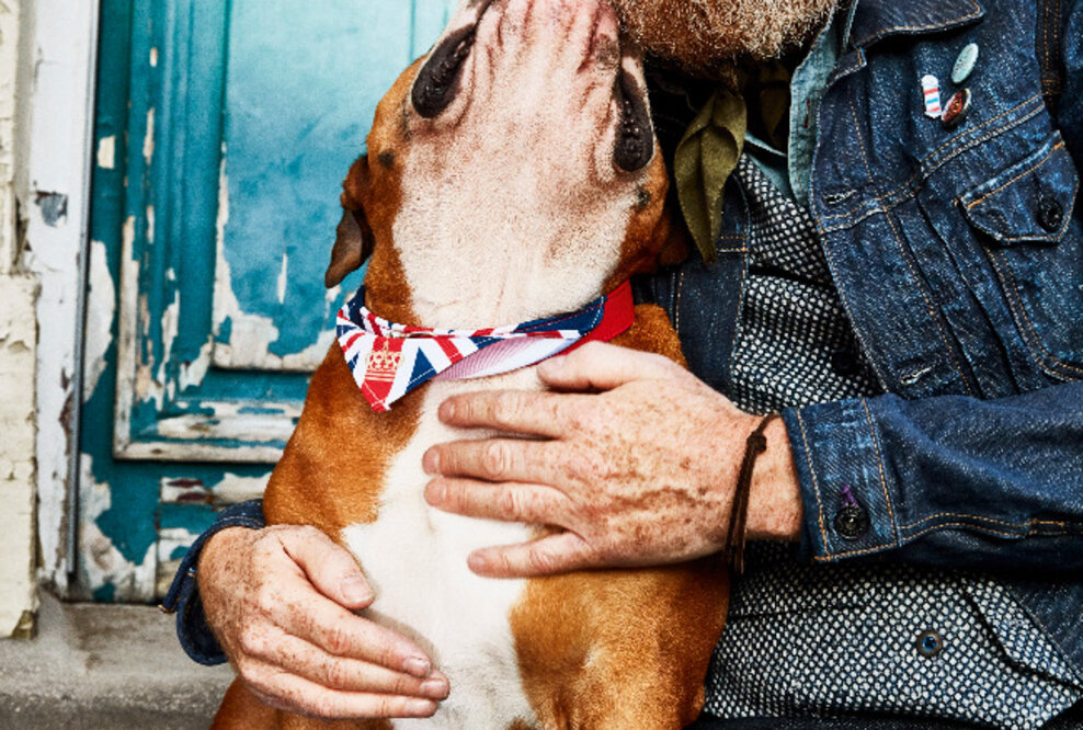 PR-Bild-Award 2017: Falke gewinnt mit „Burlington Newcastle“