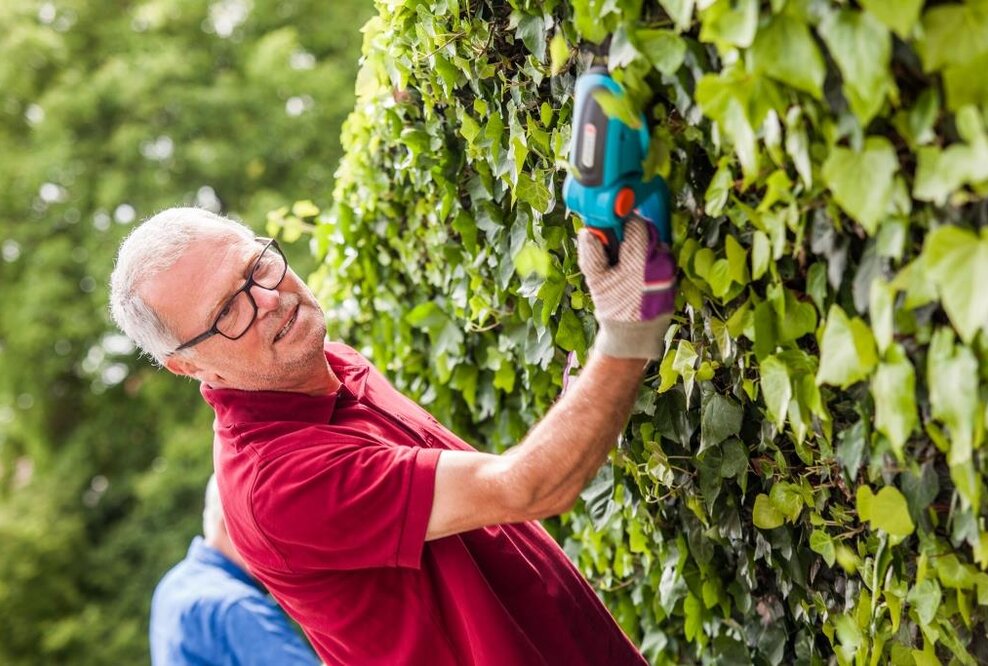 Bei Parkinson: Ergotherapeuten betrachten Familiensystem und Umfeld