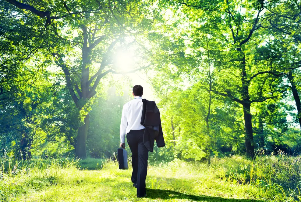 Back to the roots, die Impulse finden wir in der Natur