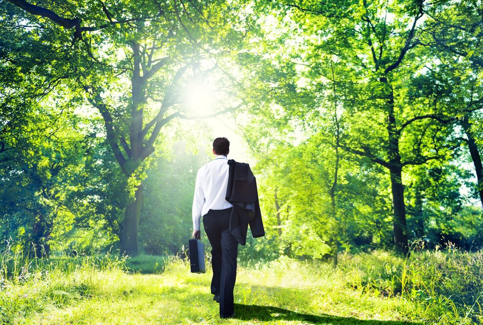 Back to the roots, die Impulse finden wir in der Natur