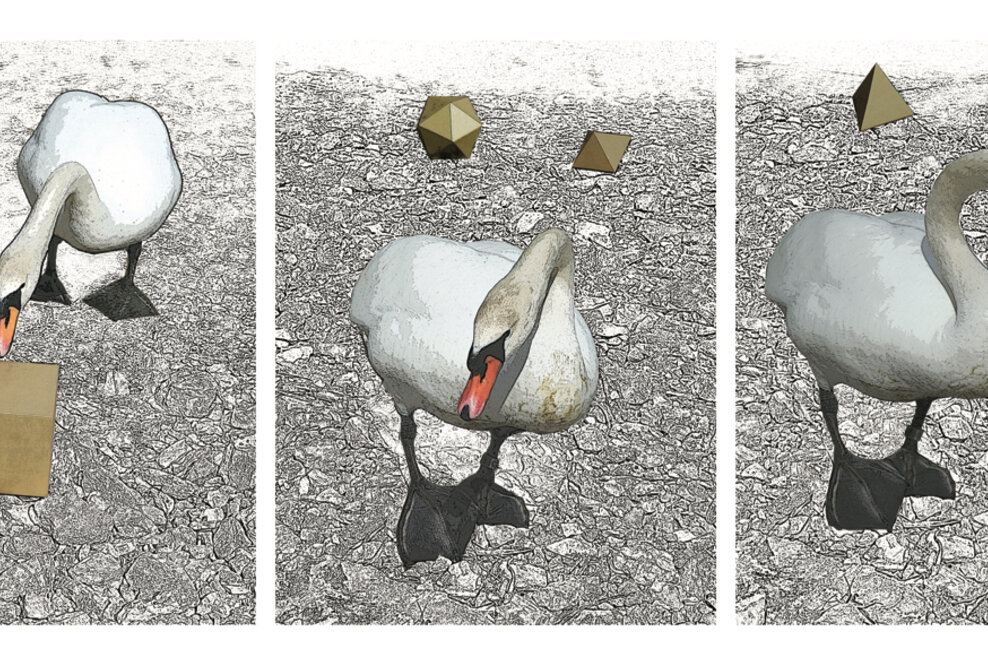 DEBUT 2018: Ausstellung für Fotografie, Malerei, Performance und Mixed Media