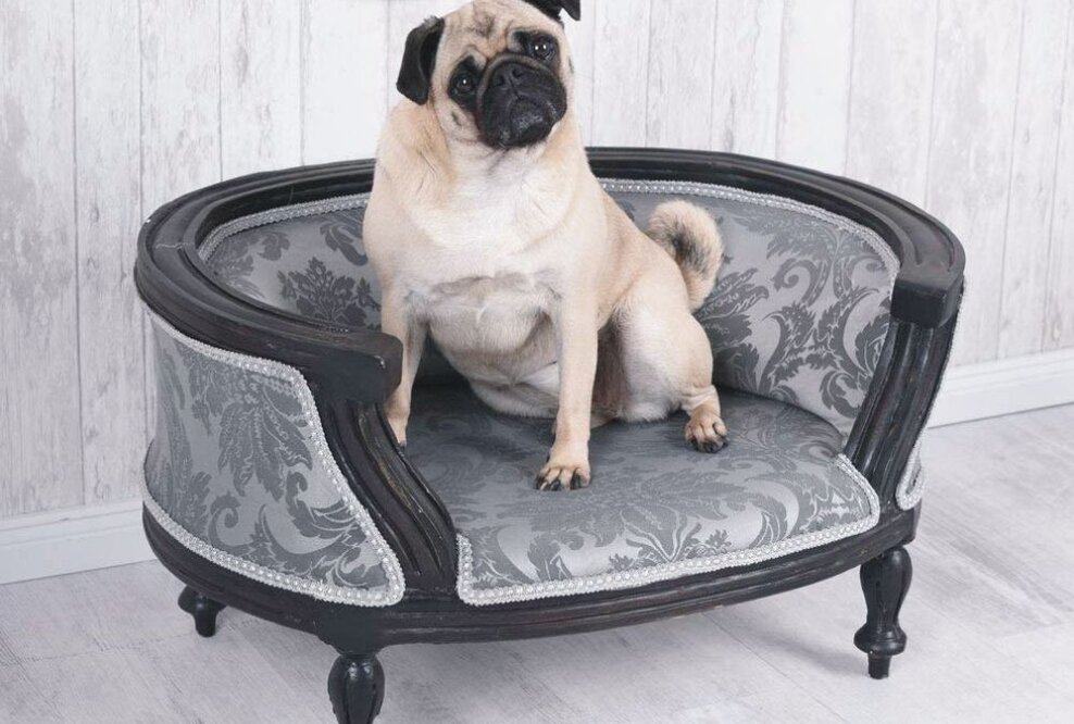 Nur das Beste für den Hund - Gesunde und luxuriöse Hundebetten voll im Trend