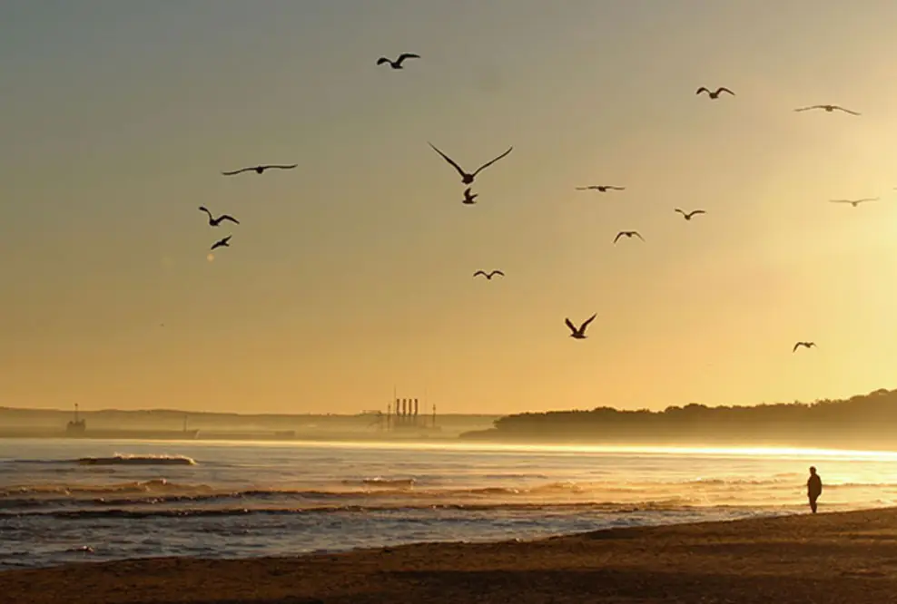 Travel-Netto weitet Ostsee-Angebot aus