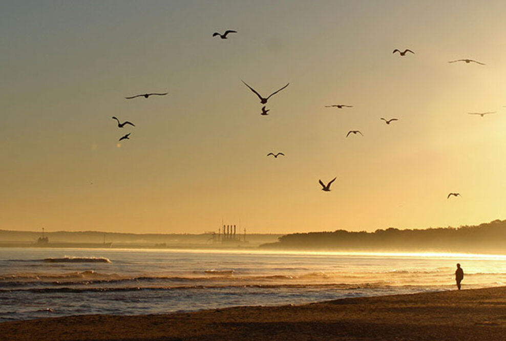 Travel-Netto weitet Ostsee-Angebot aus