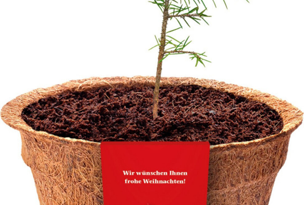 Als erster deutscher Getränkehersteller verschenkt Thüringer Waldquell Weihnachtsbäume für die Zukunft