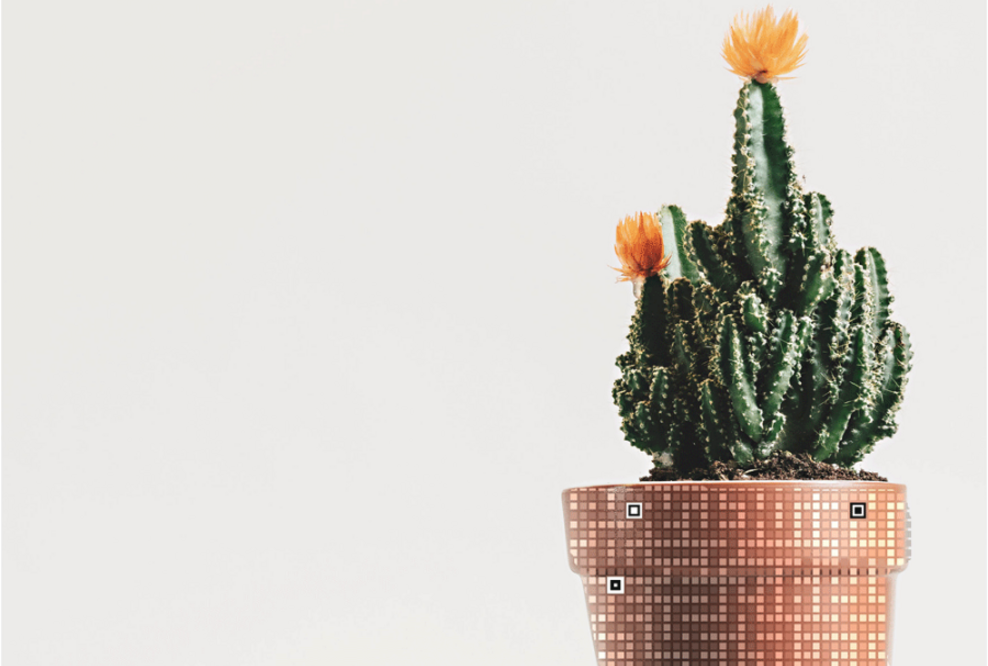 Berliner Start-Up Bowerbird GmbH entwickelt App für ersten fälschungssicheren QR-Code