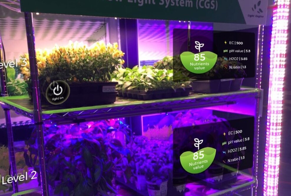Eine Innovation, die vertical farming revolutionieren wird