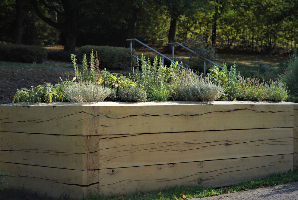 Neue Beisetzungsmöglichkeit Kräuterbeet - Veränderte Bestattungskultur sucht nach neuen Bestattungsformen