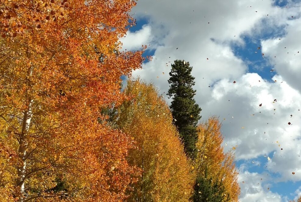 Lkw kippt durch Wind um – Referenzentscheidung klärt Schuldfragen