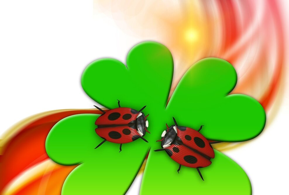 Glück ist kein Zufall – es ist eine Entscheidung