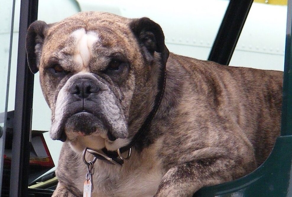 2019 wird ein turbulentes Jahr für die Logistik – Zeit für Gelassenheit