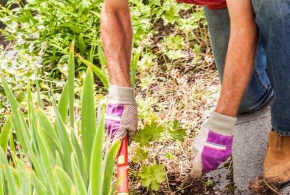 Mehr als Gesundheit: Das Leben gut leben