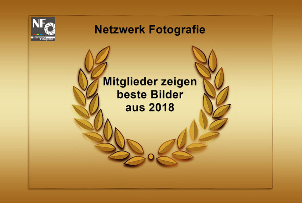 Netzwerk Fotografie Mitglieder zeigen ihre fünf besten Bilder aus 2018