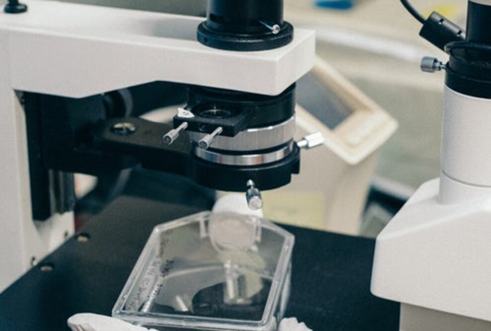 Anwälte Ciper & Coll. erneut erfolgreich vor dem Landgericht Itzehoe