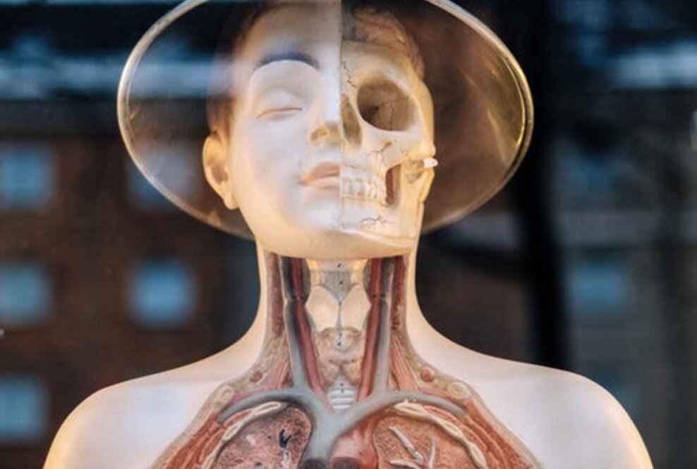 Anwälte Ciper & Coll. erneut erfolgreich vor dem Landgericht Münster