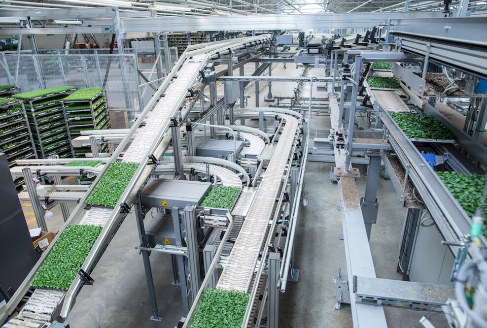 Der Frühling kann kommen – mit Automatisierungen von der TRAPO AG