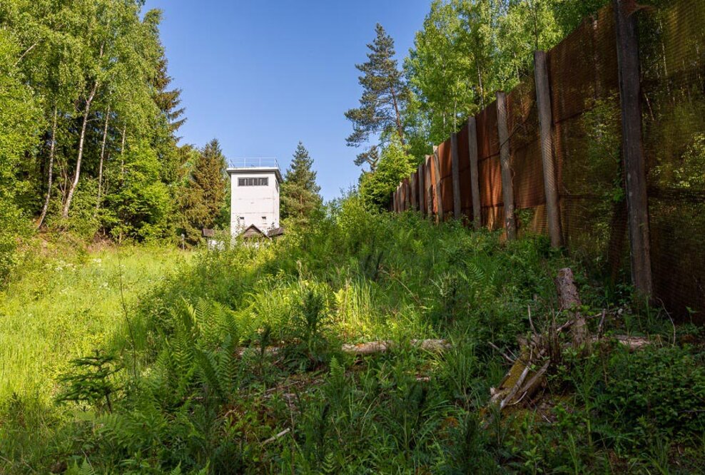 Über 750 Kilometer unberührte Natur: Das „Grüne Band“ an den Grenzflüssen Saale und Werra entdecken