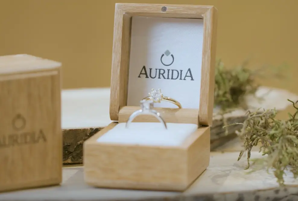 Crowdfunding Kampagne für konfliktfreie, synthetische Diamanten bei Kickstarter gestartet