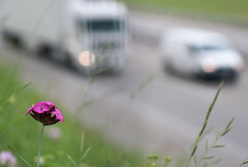 Hin und her bei den Dieselfahrverboten - eine Chronik voreilig gezogener Schlussfolgerungen
