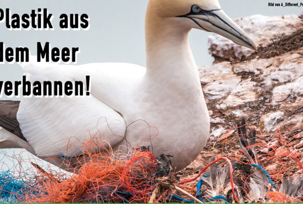 Umweltschutz jetzt - Tierschutz hier