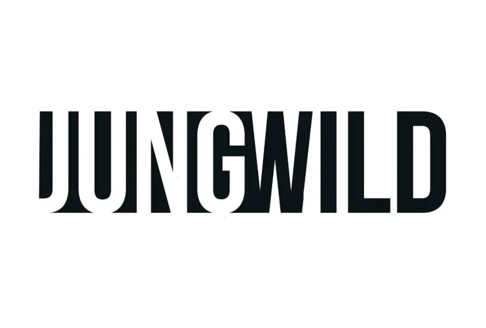 jungwild vereinfacht Karrierestart für junge Akademiker