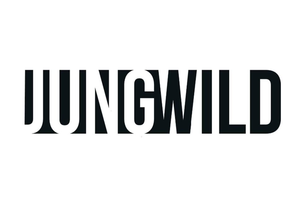 jungwild vereinfacht Karrierestart für junge Akademiker