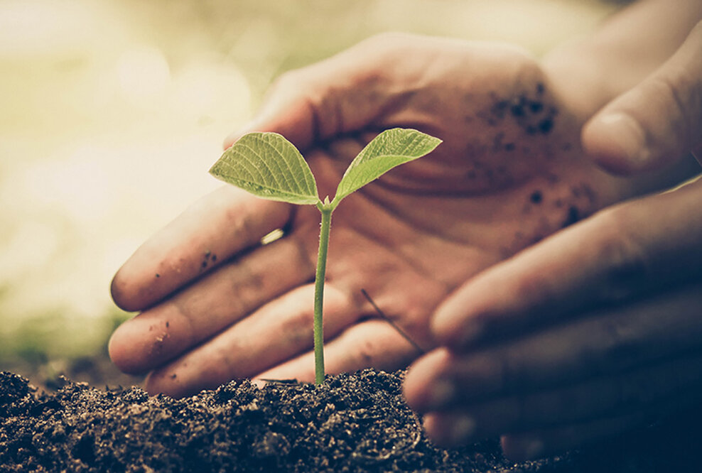 Grüne Verantwortung als Firmenphilosophie