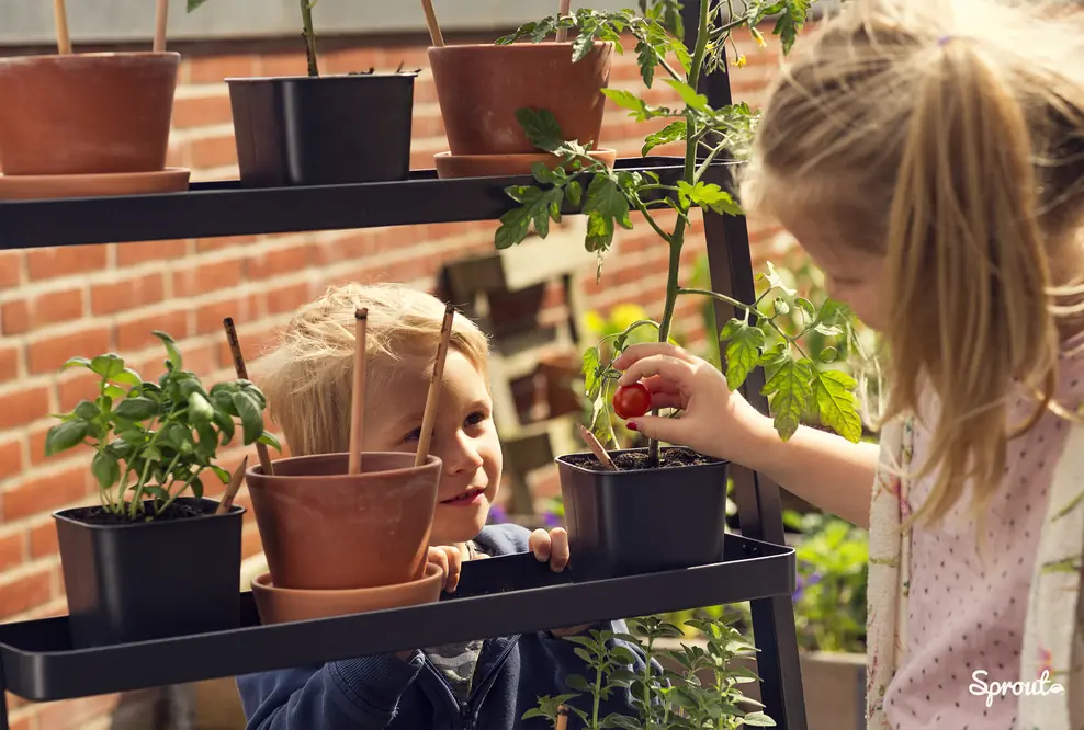 Plastikfreie Ferien: Sprout-Stifte, die zu einer Pflanze werden