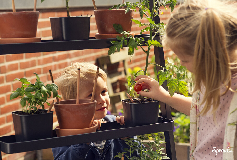 Plastikfreie Ferien: Sprout-Stifte, die zu einer Pflanze werden