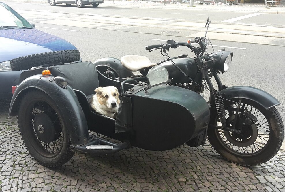 Palästinensischer Fotograf stellt zur Nacht der Kunst aus