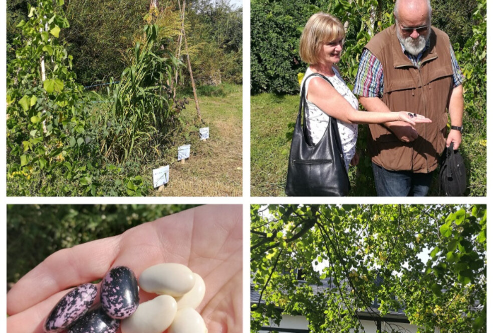 ENZEDRA-Projektpräsentation auf dem AmbrossGut Schönbrunn