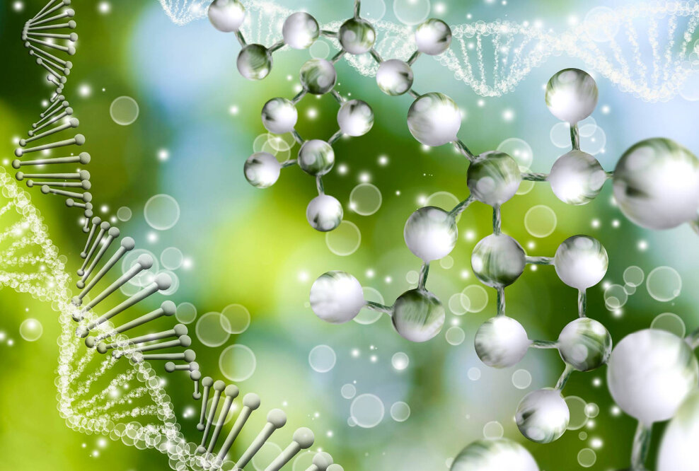 Das Kraftwerk Körper und die Macht der Mikronährstoffe