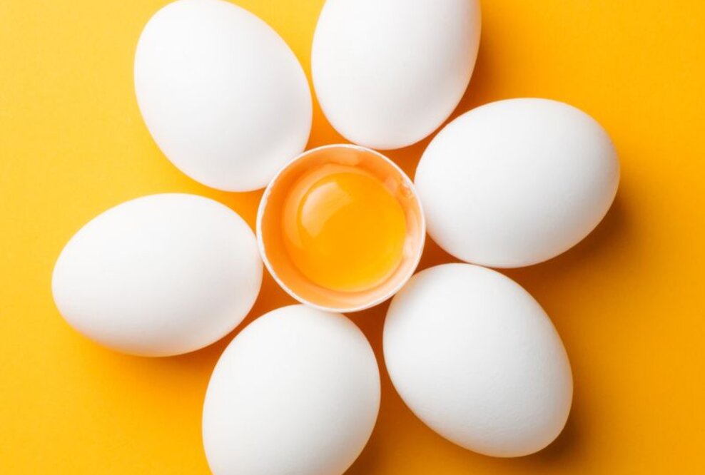 World Egg Day: SCRAEGG präsentiert das Kleine Ei(n)maleins