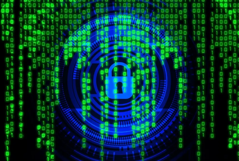 Hochrisiko Cybercrime