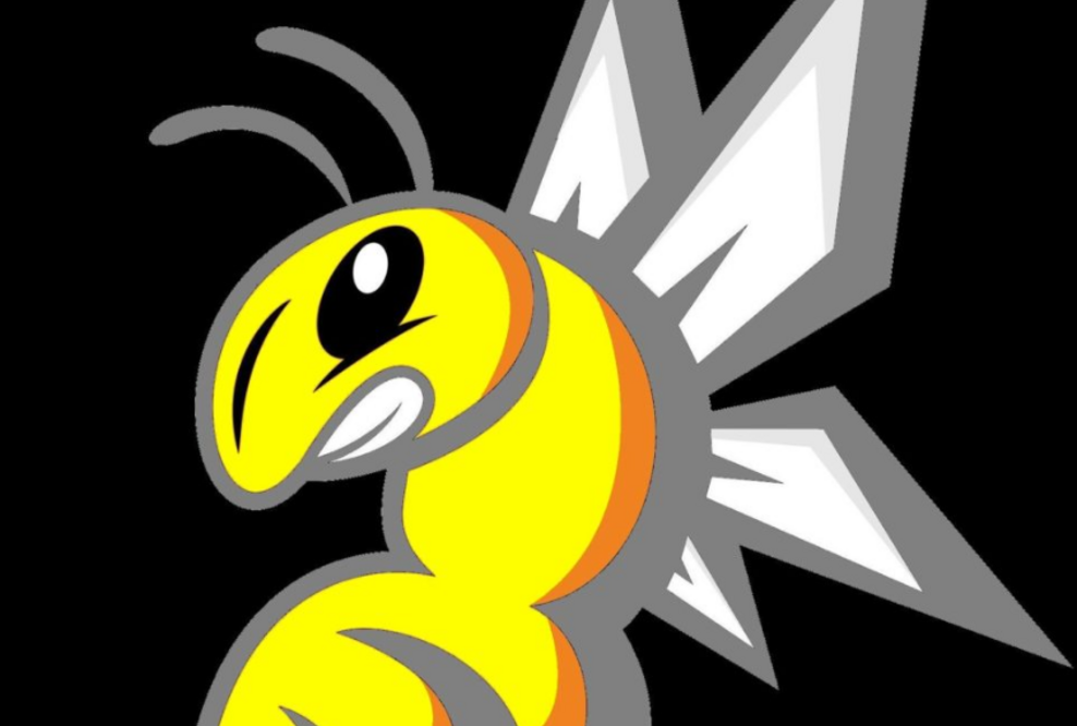 Unfälschbare Abschlusszeugnisse bei HSBA