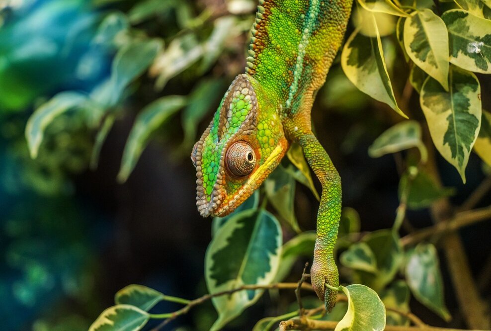 Ratgeber: Raus aus dem Software-Dschungel – Lager mittels optimaler Softwarelösung richtig digitalisieren