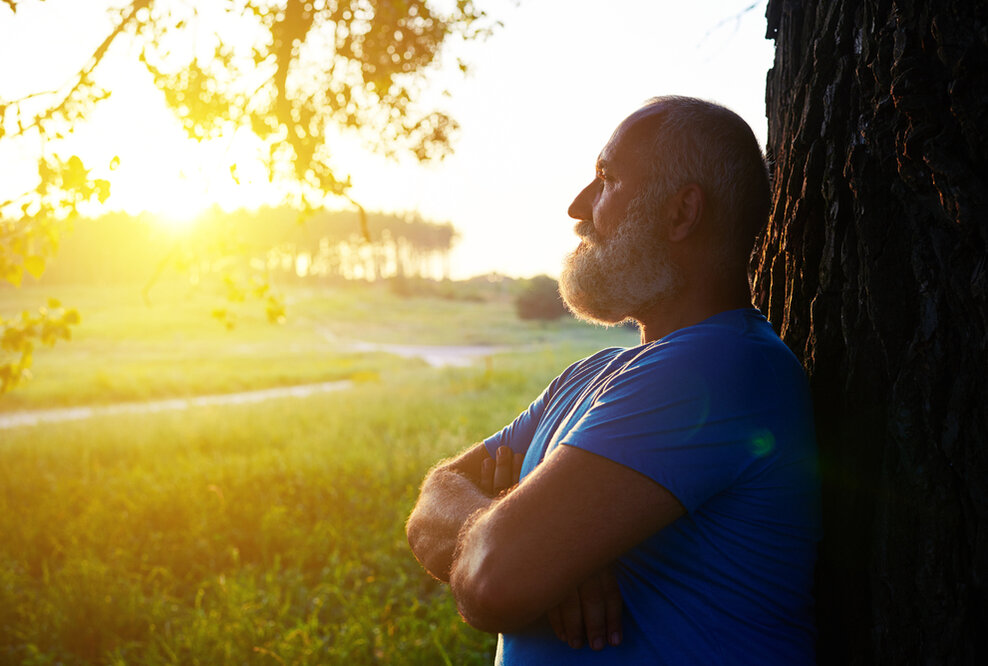 Jungbrunnen Wald: Die Natur heilt und lässt uns langsamer altern