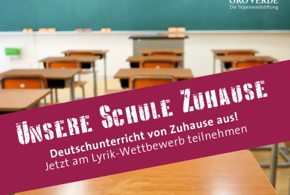 Mit Sprache den Regenwald retten – Start des Lyrik-Wettbewerb
