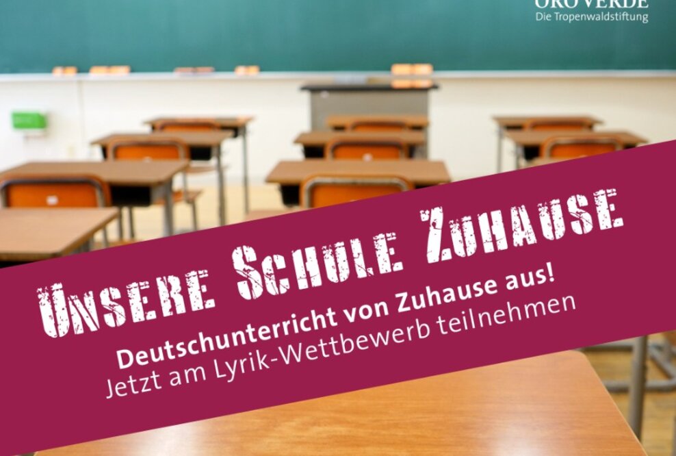 Mit Sprache den Regenwald retten – Start des Lyrik-Wettbewerb