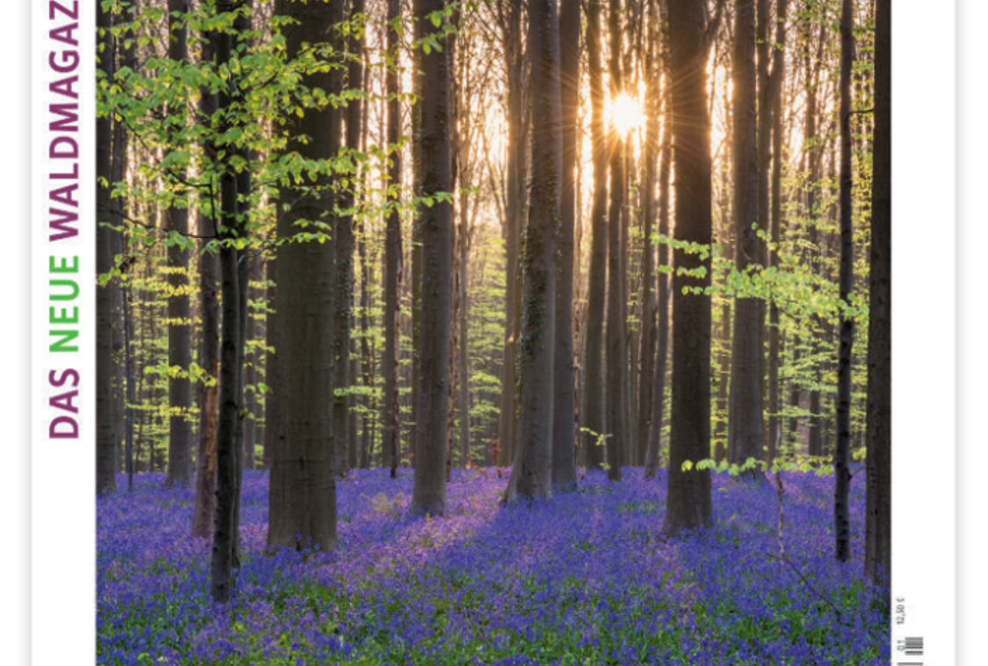 Neues Waldmagazin am Start