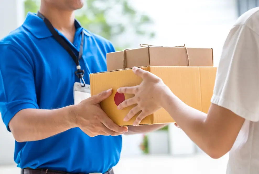 Schnelle, flexible und nachhaltige Zustellung liegt voll im Trend: Versandgeschäft im E-Commerce bleibt 2020 auf Wachstumskurs