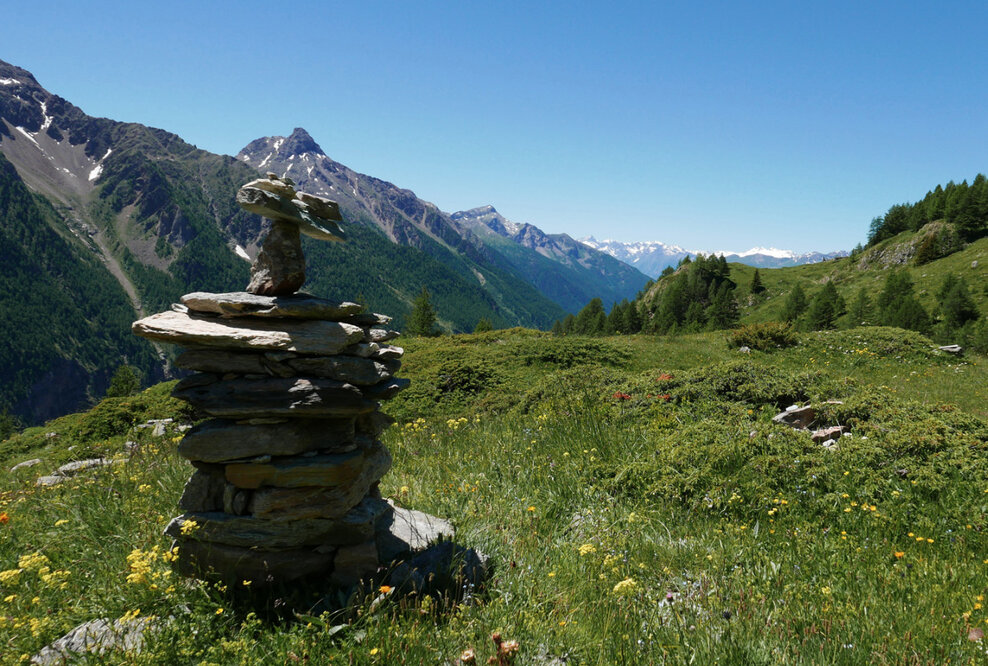Heilsame Schönheiten - das Aostatal in voller Blütenpracht
