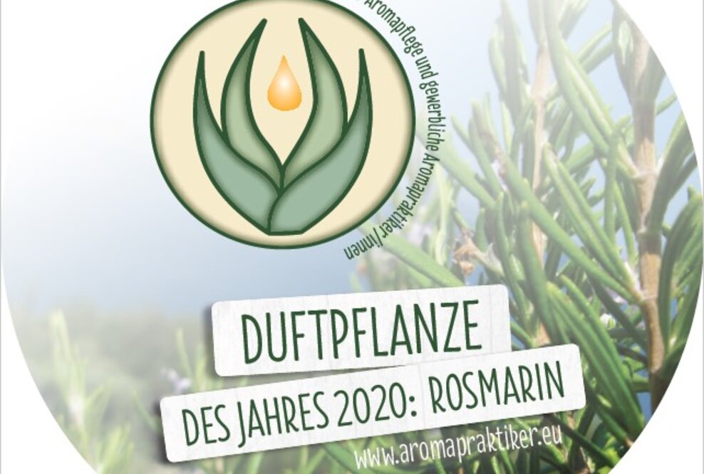 Der Tag des Duftes mit Rosmarin: Schützend, stärkend, belebend