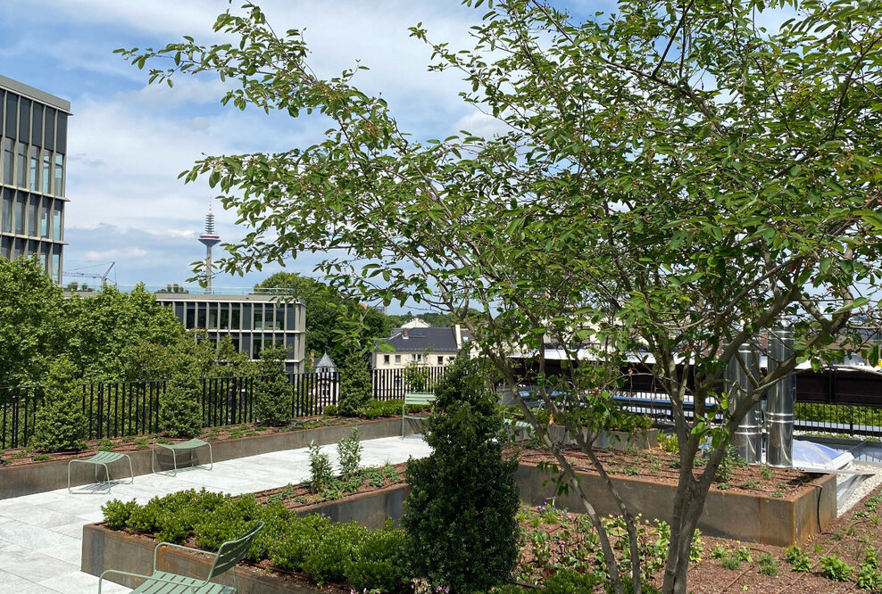 Hoteleröffnung in Zeiten von Corona: In Frankfurt zeigt ein Familienunternehmen wie das geht