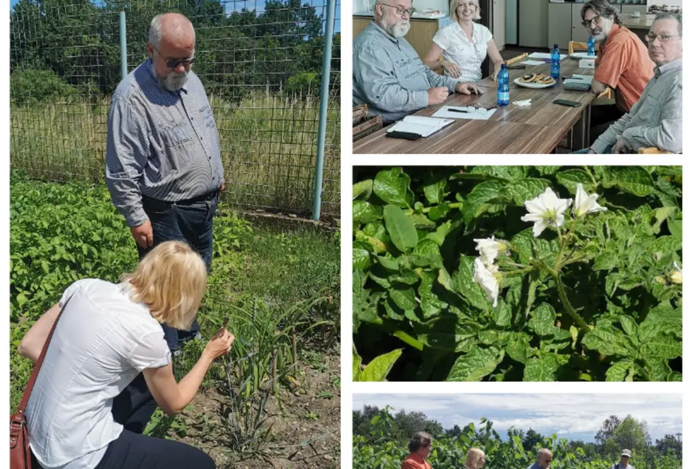 Projektberatung und Exkursion zu Musteranbauflächen historischer Pflanzen