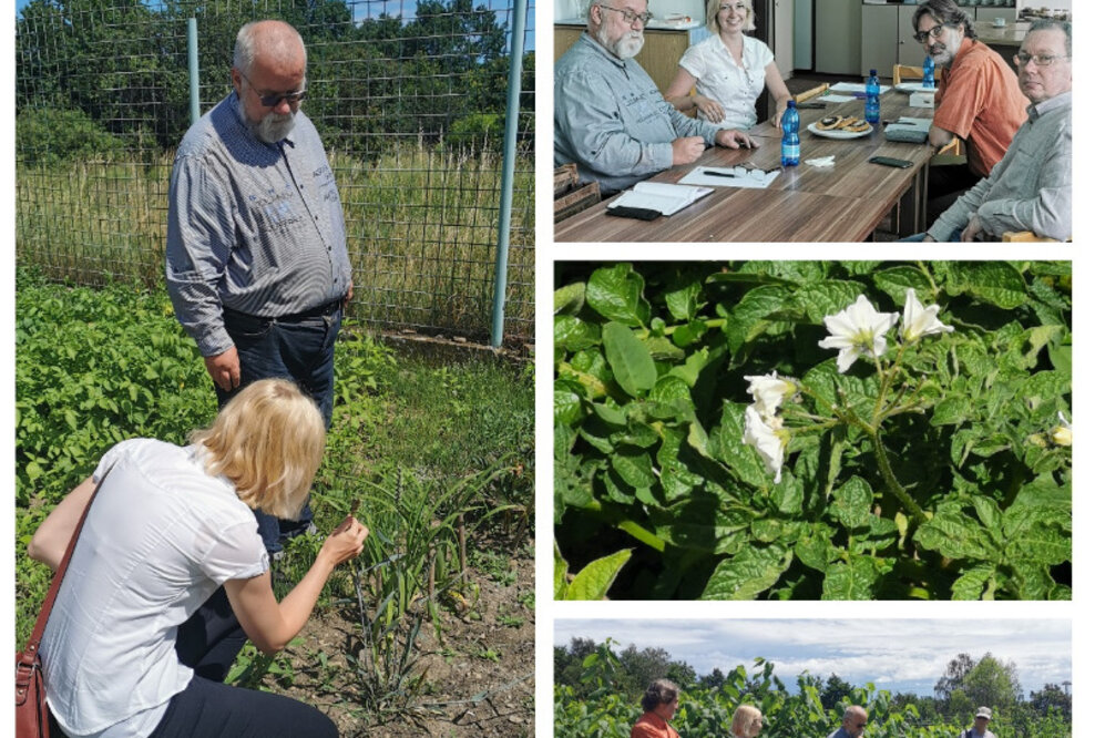 Projektberatung und Exkursion zu Musteranbauflächen historischer Pflanzen